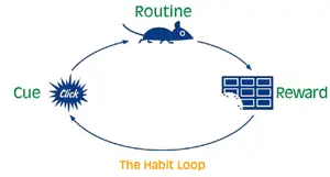 Habit Loop