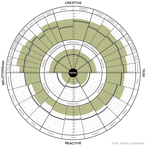 Scaling Leadership Leadership Circle Profile