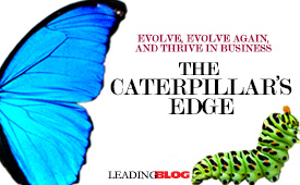 Caterpillars Edge