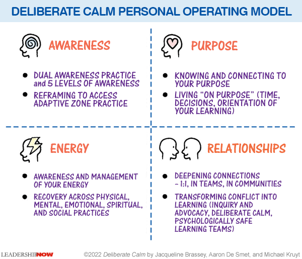 Deliberate Calm Model