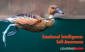 Emotional Intelligence