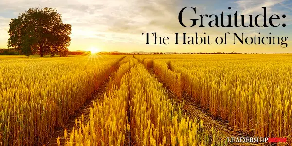 Gratitude The Habit of Noticing