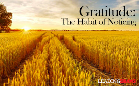 Gratitude Noticing