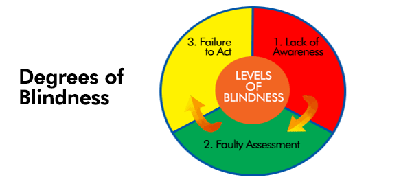 Leadership Blindspots