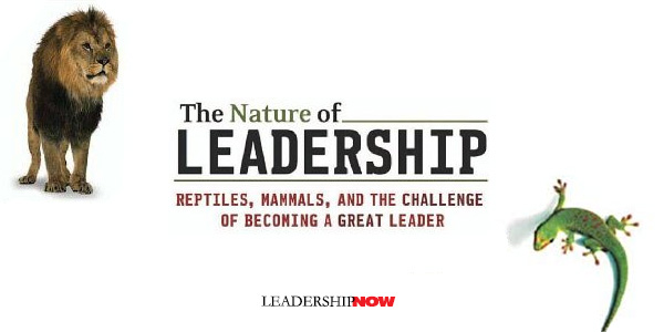 Nature Of Leadership