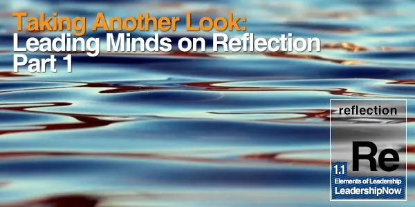 Taking Another Look: Leading Minds on Reflection