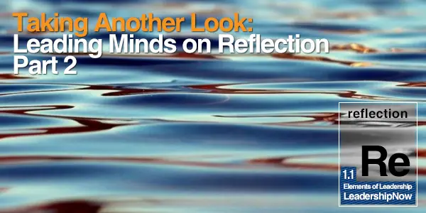 Taking Another Look: Leading Minds on Reflection