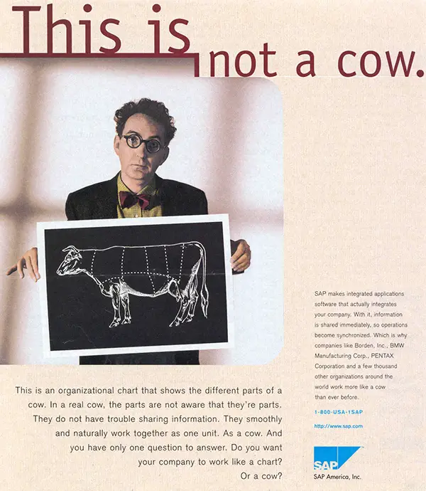 SAP 1995 Advertisement