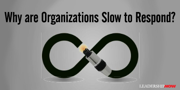 Why are Organizations Slow to Respond