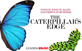 The Caterpillar's Edge
