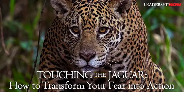 Touching the Jaguar